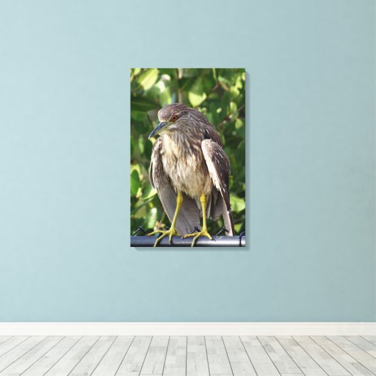 Schwarzer Kröner Leinwanddruck (Insitu (Holzboden))