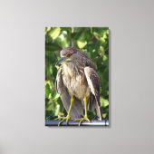 Schwarzer Kröner Leinwanddruck (Vorderseite)