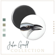 Schwarzer Kuckoo-Shrike Magnet