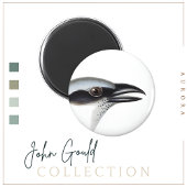 Schwarzer Kuckoo-Shrike Magnet