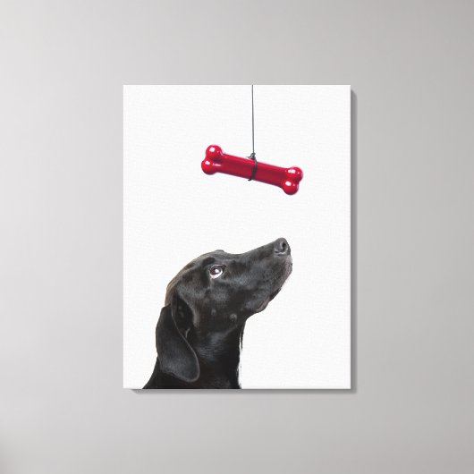 Schwarzer Lab gemischter Hund mit rotem Hundeknoch Leinwanddruck (Vorderseite)