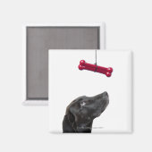Schwarzer Lab gemischter Hund mit rotem Hundeknoch Magnet (Vorderseite/Rückseite)