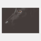 Schwarzer Lab Geschenkpapier Set (Vorderseite)