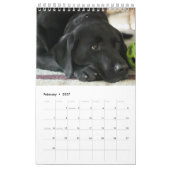 Schwarzer Lab-Kalender Labrador Retriever 2026 Kalender (Feb 2027)