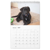 Schwarzer Lab-Kalender Labrador Retriever 2026 Kalender (Jan 2027)