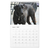 Schwarzer Lab-Kalender Labrador Retriever 2026 Kalender (Mär 2027)