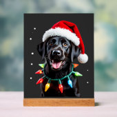 Schwarzer Lab Labrador Weihnachtsbaum Licht Pyjama Acrylschild (Neutral)
