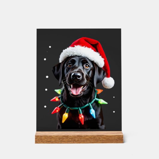 Schwarzer Lab Labrador Weihnachtsbaum Licht Pyjama Acrylschild (Vorderseite)