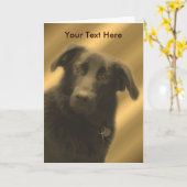 Schwarzer Lab Mix Niedlicher Hund Karte (Gelbe Blume)