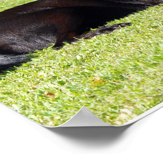 Schwarzer Lab Poster (Ecke)