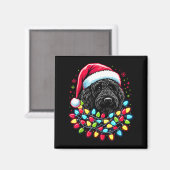 Schwarzer Labradoodle Weihnachtsbaum Xmas Lichter  Magnet (Vorderseite/Rückseite)