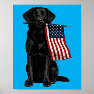 Schwarzer Labrador Amerikanische Flagge Lustig Gol Poster