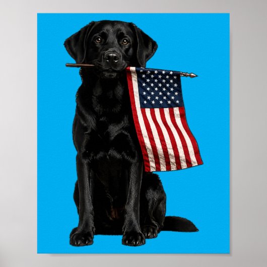 Schwarzer Labrador Amerikanische Flagge Lustig Gol Poster (Vorne)