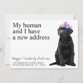 Schwarzer Labrador Ankündigung (Vorderseite)