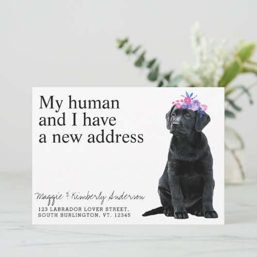 Schwarzer Labrador Ankündigung (Stehend Vorderseite)