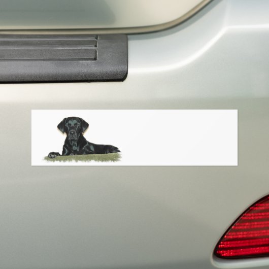 Schwarzer Labrador-Autoaufkleber Autoaufkleber (Auf Auto)