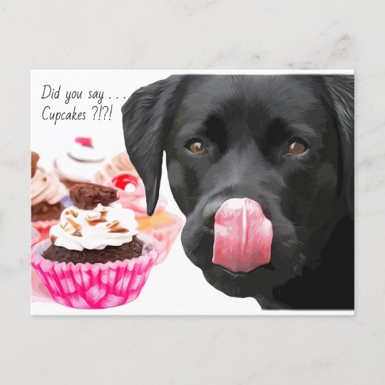 schwarzer labrador cupcake hund geburtstag sch postkarte zazzle de