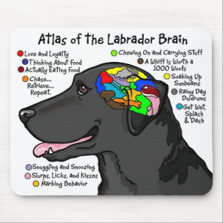Schwarzer Labrador-Gehirn-Atlas Mousepad