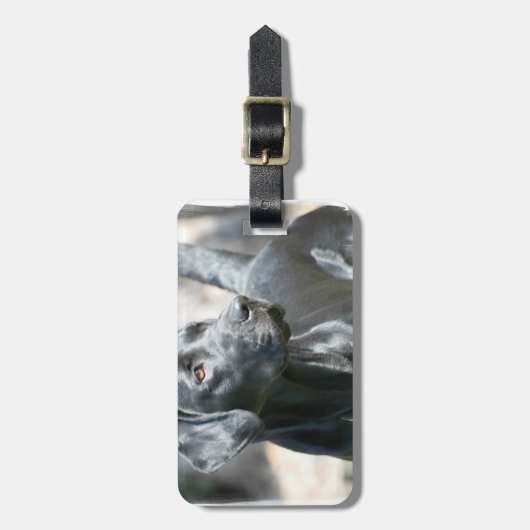 Schwarzer Labrador-Gepäck-Umbau Gepäckanhänger (Vorderseite vertikal)