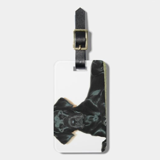 Schwarzer Labrador-Gepäck-Umbau Gepäckanhänger (Vorderseite vertikal)