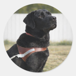 Schwarzer Labrador Guide Dog Abschluss Envelope Si Runder Aufkleber