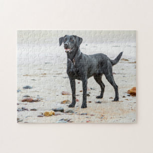 Schwarzer Labrador Hund am Strand Puzzle