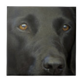 Schwarzer Labrador-Hund Fliese (Vorderseite)