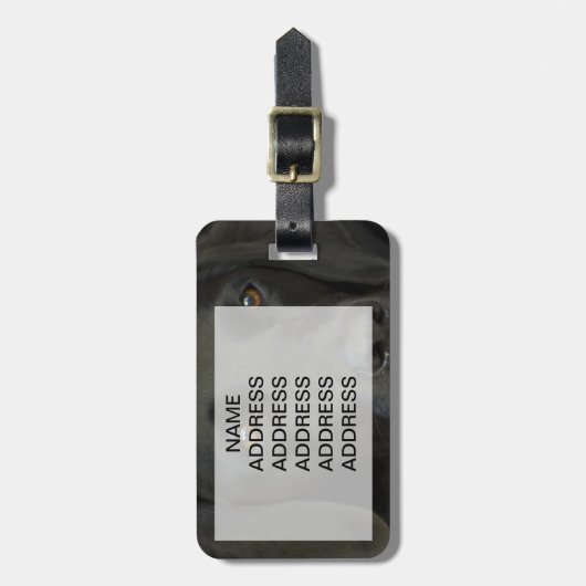 Schwarzer Labrador-Hund Gepäckanhänger (Vorderseite vertikal)