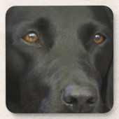 Schwarzer Labrador-Hund Getränkeuntersetzer (Vorderseite)