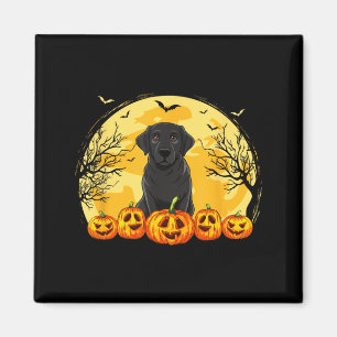 Schwarzer Labrador-Hund-Kürbisse-Halloween-Kostüm  Magnet