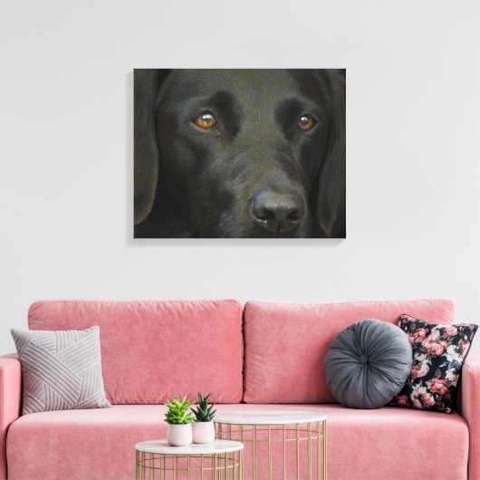 Schwarzer Labrador Hund Leinwanddruck (Insitu (Wohnzimmer))