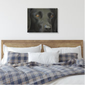 Schwarzer Labrador Hund Leinwanddruck (Insitu (Schlafzimmer))