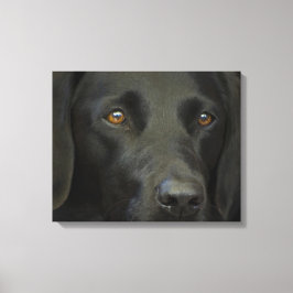 Schwarzer Labrador Hund Leinwanddruck