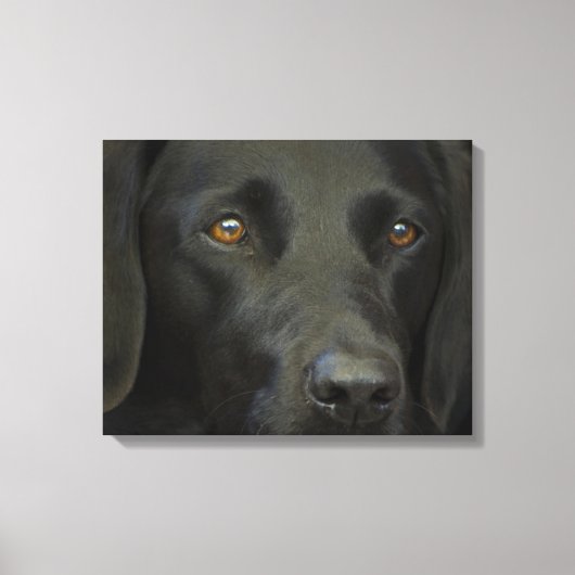 Schwarzer Labrador Hund Leinwanddruck (Vorderseite)