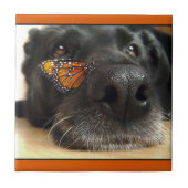 Schwarzer Labrador-Hund mit Schmetterling Fliese (Vorderseite)
