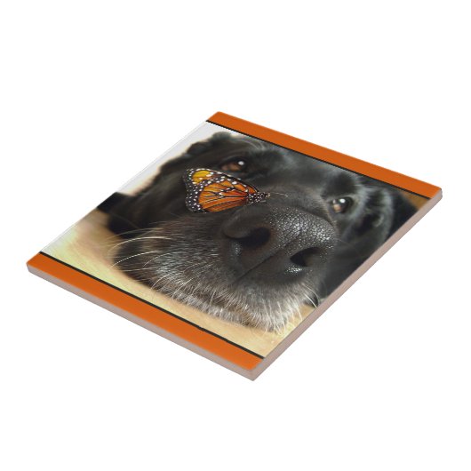 Schwarzer Labrador-Hund mit Schmetterling Fliese (Seite)