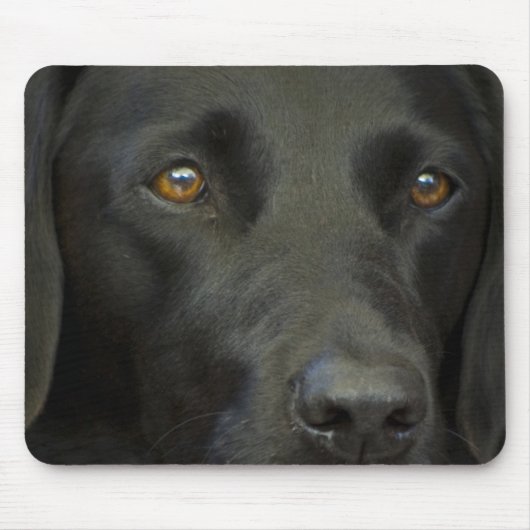 Schwarzer Labrador-Hund Mousepad (Vorne)