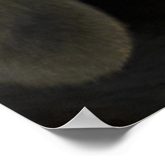 Schwarzer Labrador Hund Poster (Ecke)