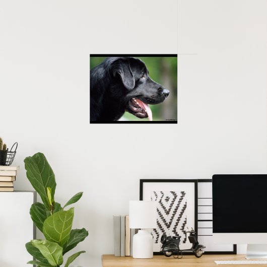 Schwarzer Labrador Hund Poster (Heimbüro)