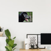 Schwarzer Labrador Hund Poster (Heimbüro)