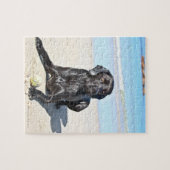 Schwarzer Labrador Hund sitzt am Strand Puzzle (Horizontal)