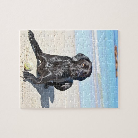 Schwarzer Labrador Hund sitzt am Strand Puzzle (Horizontal)