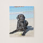 Schwarzer Labrador Hund sitzt am Strand Puzzle (Vertikal)