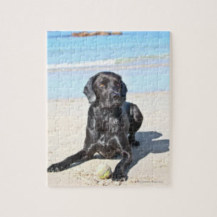 Schwarzer Labrador Hund sitzt am Strand Puzzle