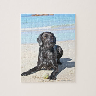 Schwarzer Labrador Hund sitzt am Strand Puzzle