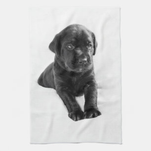 Schwarzer Labrador-Hundewelpe Geschirrtuch