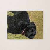 Schwarzer Labrador im Feld-Puzzlespiel Puzzle (Horizontal)