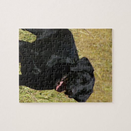 Schwarzer Labrador im Feld-Puzzlespiel Puzzle (Horizontal)