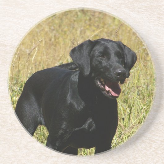 Schwarzer Labrador im Feld-Untersetzer Sandstein Untersetzer (Vorne)