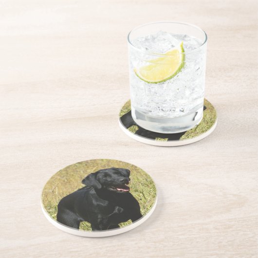 Schwarzer Labrador im Feld-Untersetzer Sandstein Untersetzer (Seite)